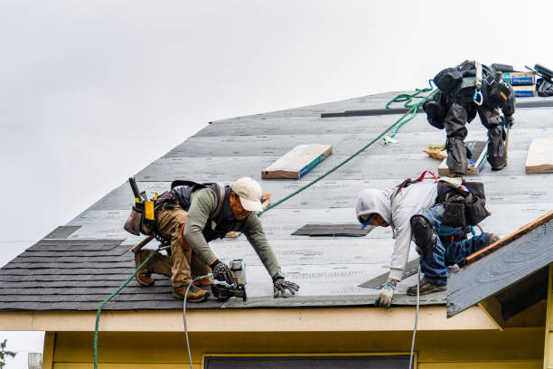 Professional Roofing technician working in Montebello, VA